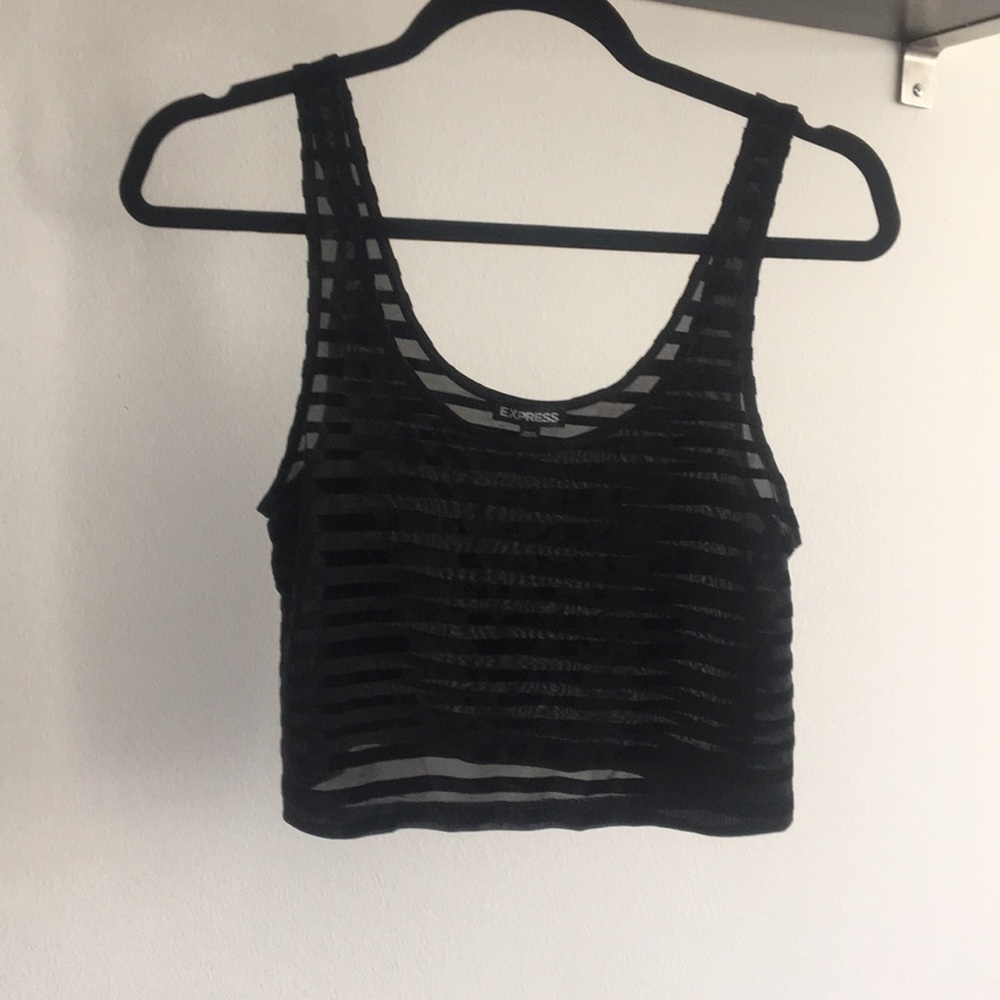 Express Mesh Velvet Crop Top